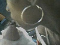 Big teeth nibble a cock