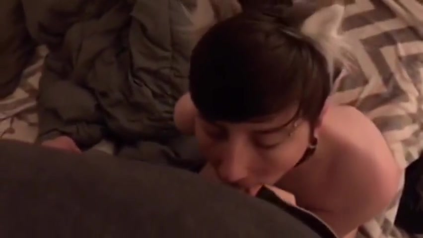 Collared & Throat Stuffed Ftm Kitten