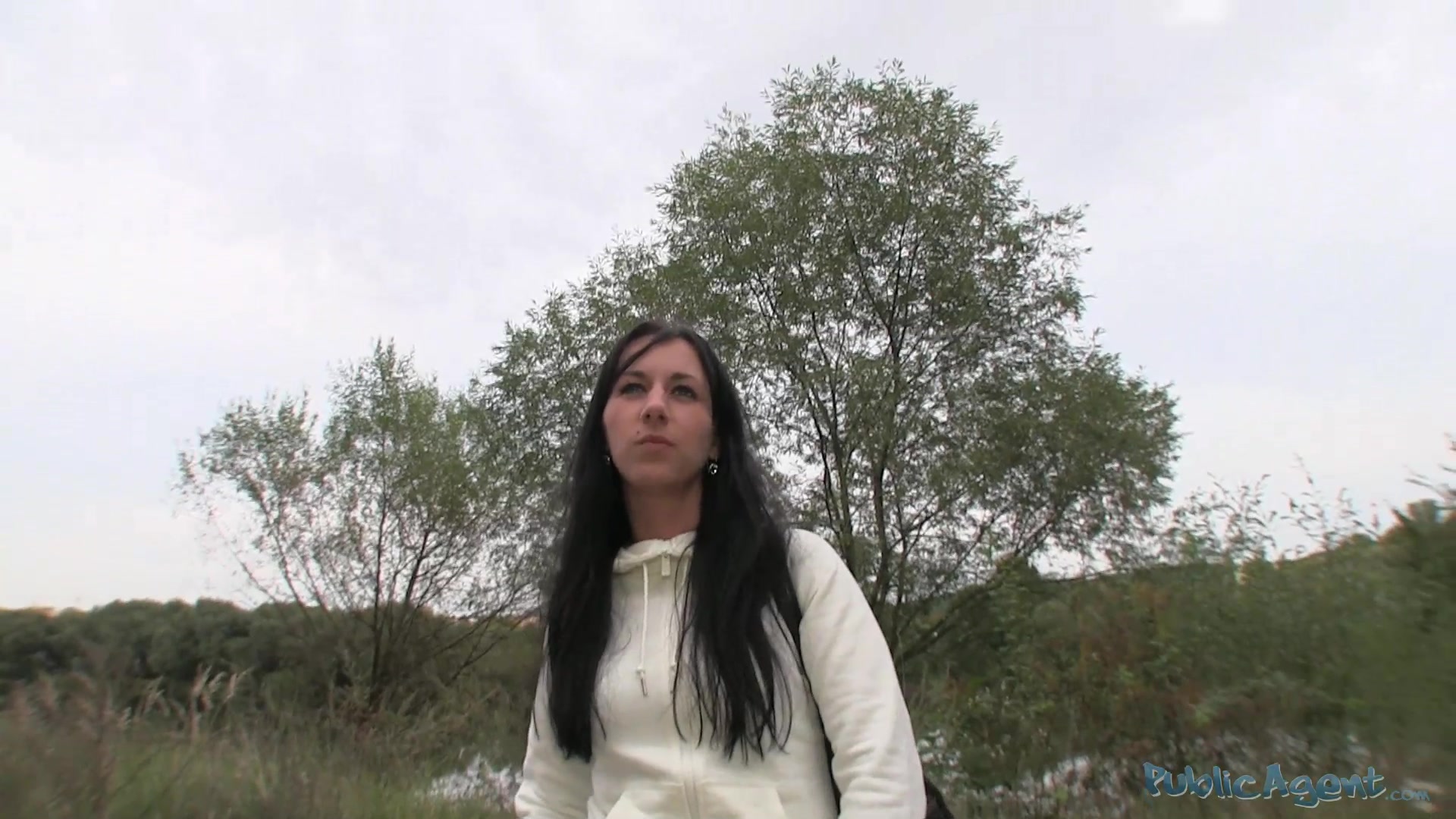 PublicAgent Scene. Terra