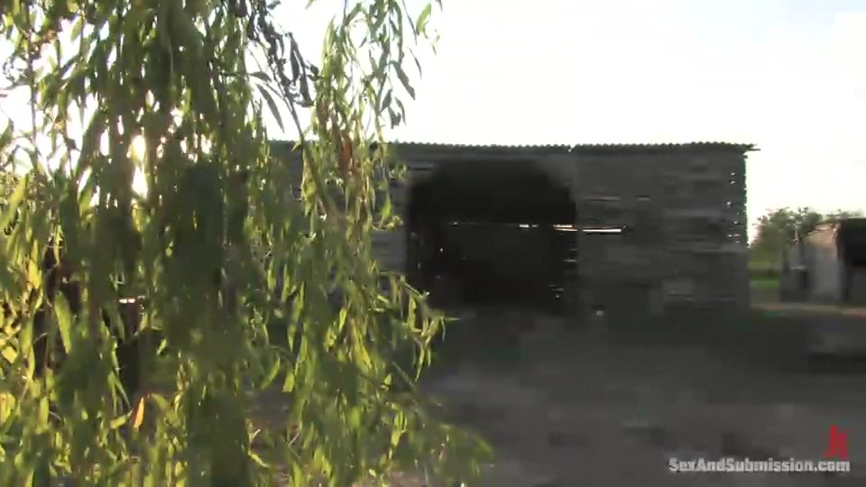 Farm Slaves From Budapest