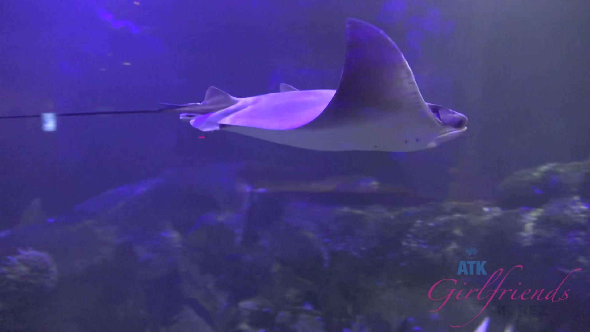 Virtual Vacation In Las Vegas With Jade Amber Part 1