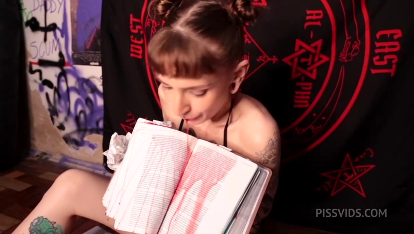 CSB Bible Destroy - PissVids