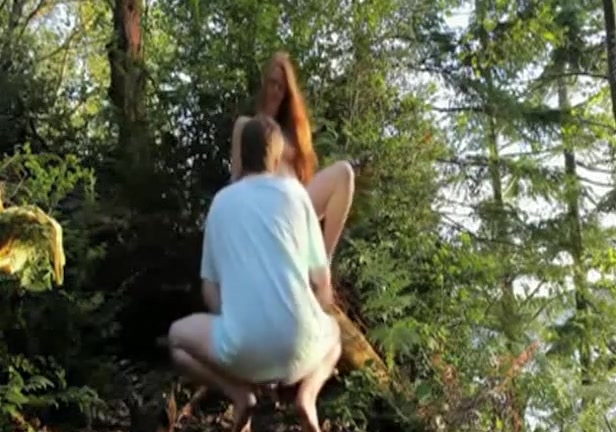 Trip to the woods