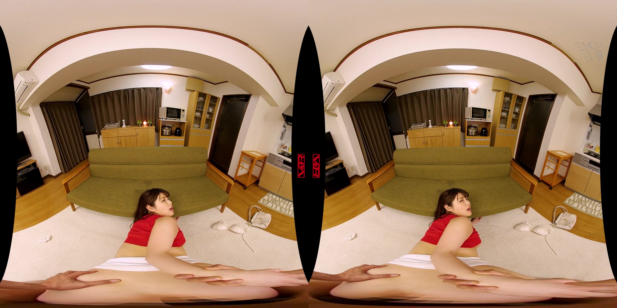 Akari Niimura - Your Big Butt S*ster-in-Law Seduces You into Creampie Sex - 3DV&R