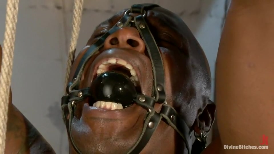 Bobbi Starr, why are you so damn sadistic!!?!?!?!