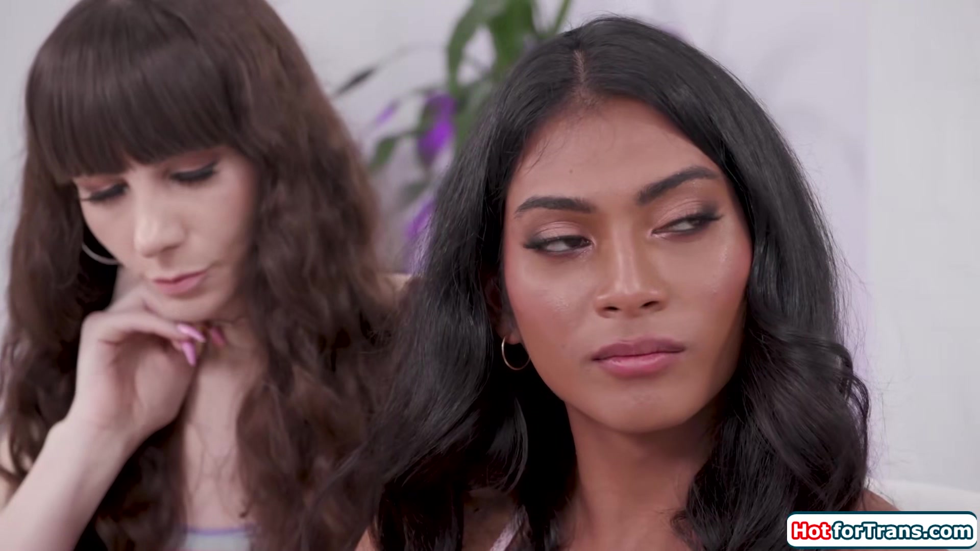 Stepdad anals asian trans stepdaughter and her shemale bff