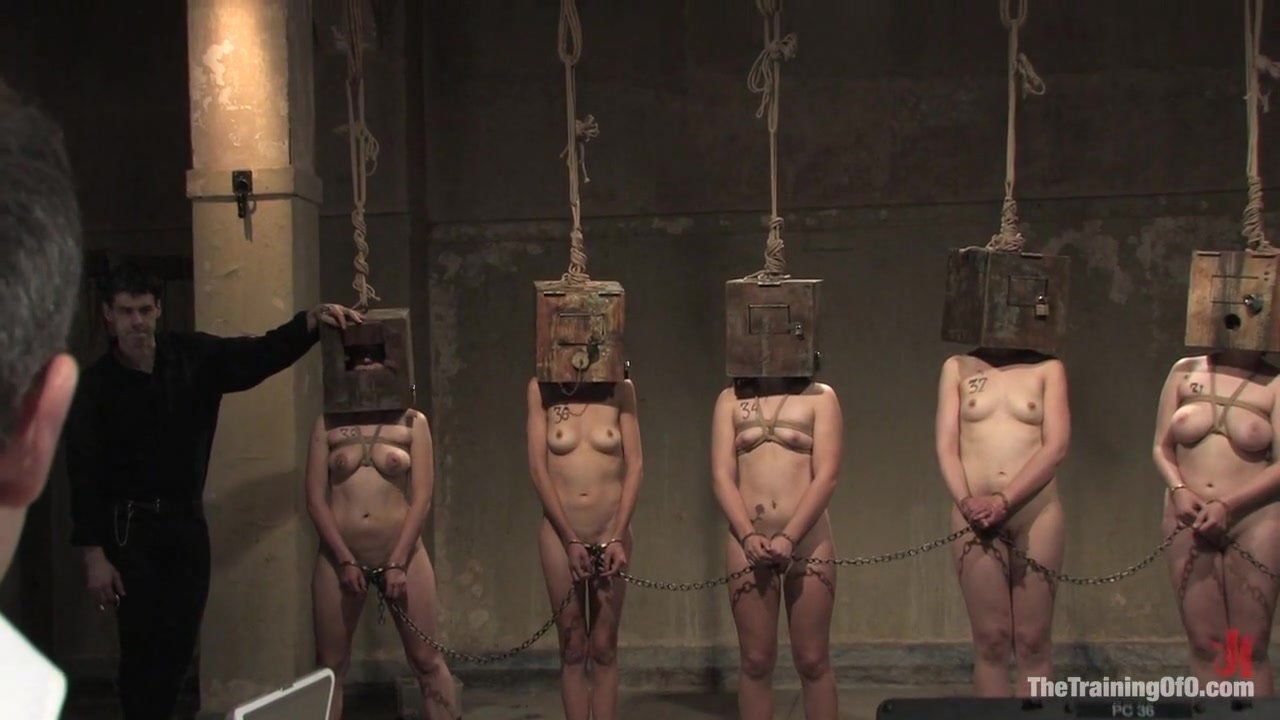 The Auditons Three - TheTrainingofO