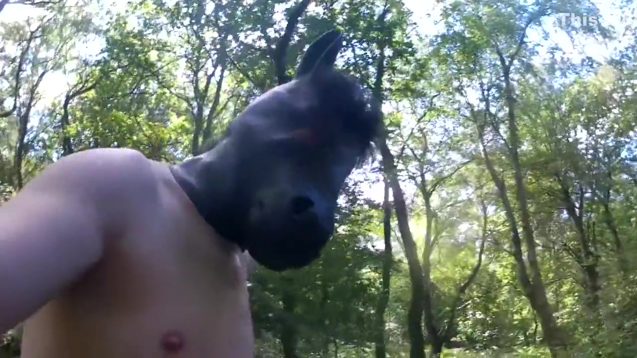 I Ran Around A Forest Naked For Seemingly Ages With No Safety Net