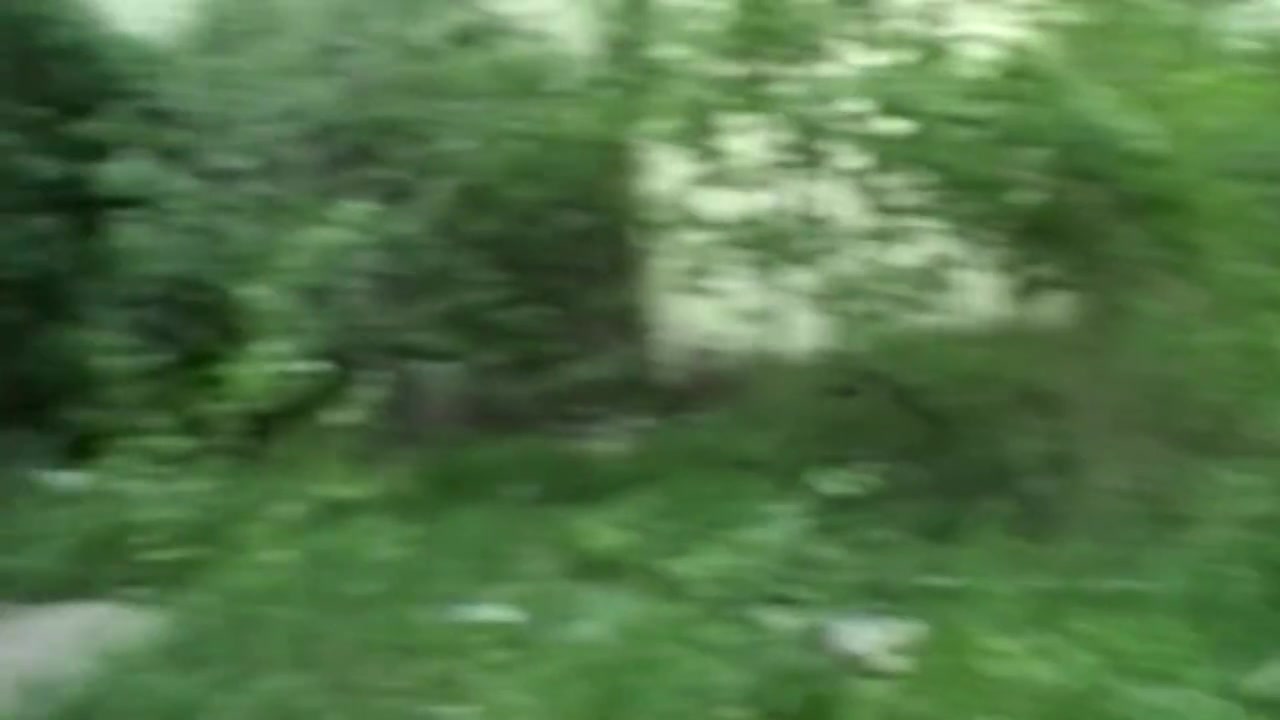 Super Sexy - German teen 18+ Dildoing Her Muff Outdoors