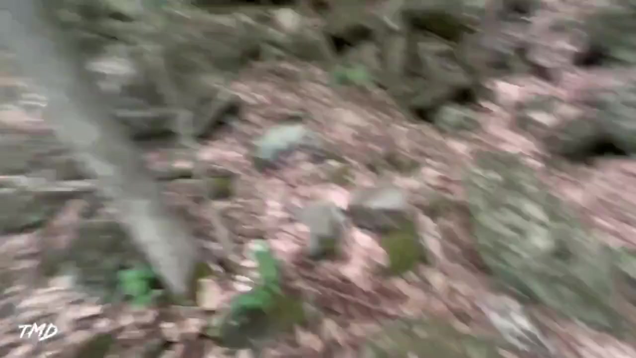 Tmd: Queen Devil Fuck In Step mother Nature! - Fs
