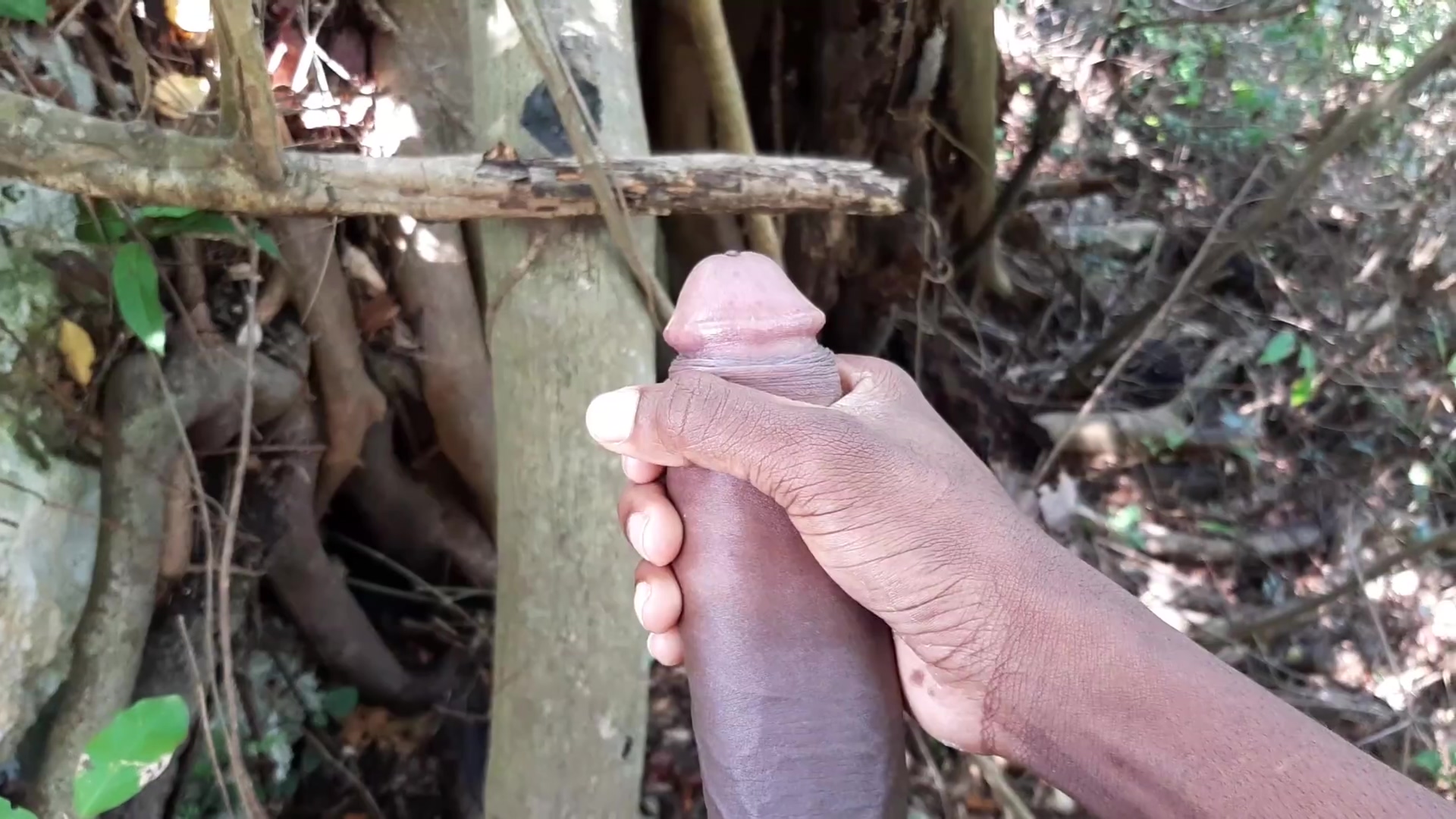 I Was Horny So I Went To The Forest To Masterbate- 2