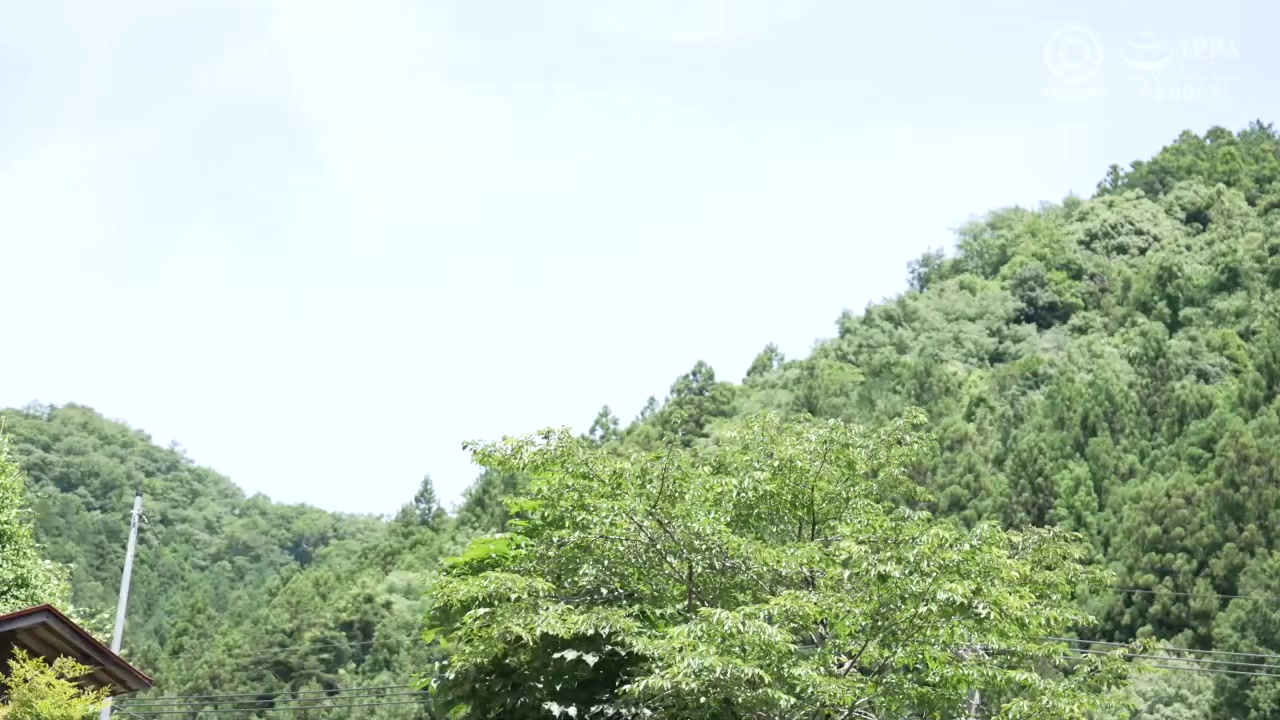 0006252_爆乳 ショーパン ドラマなどが含まれている