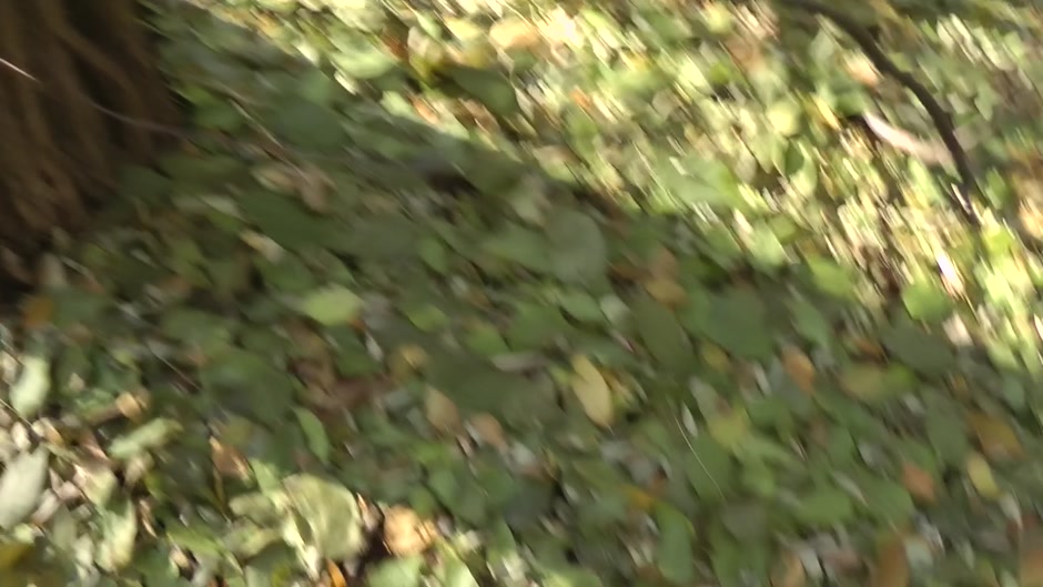 Hot blonde sucks and rides cock in the outdoors