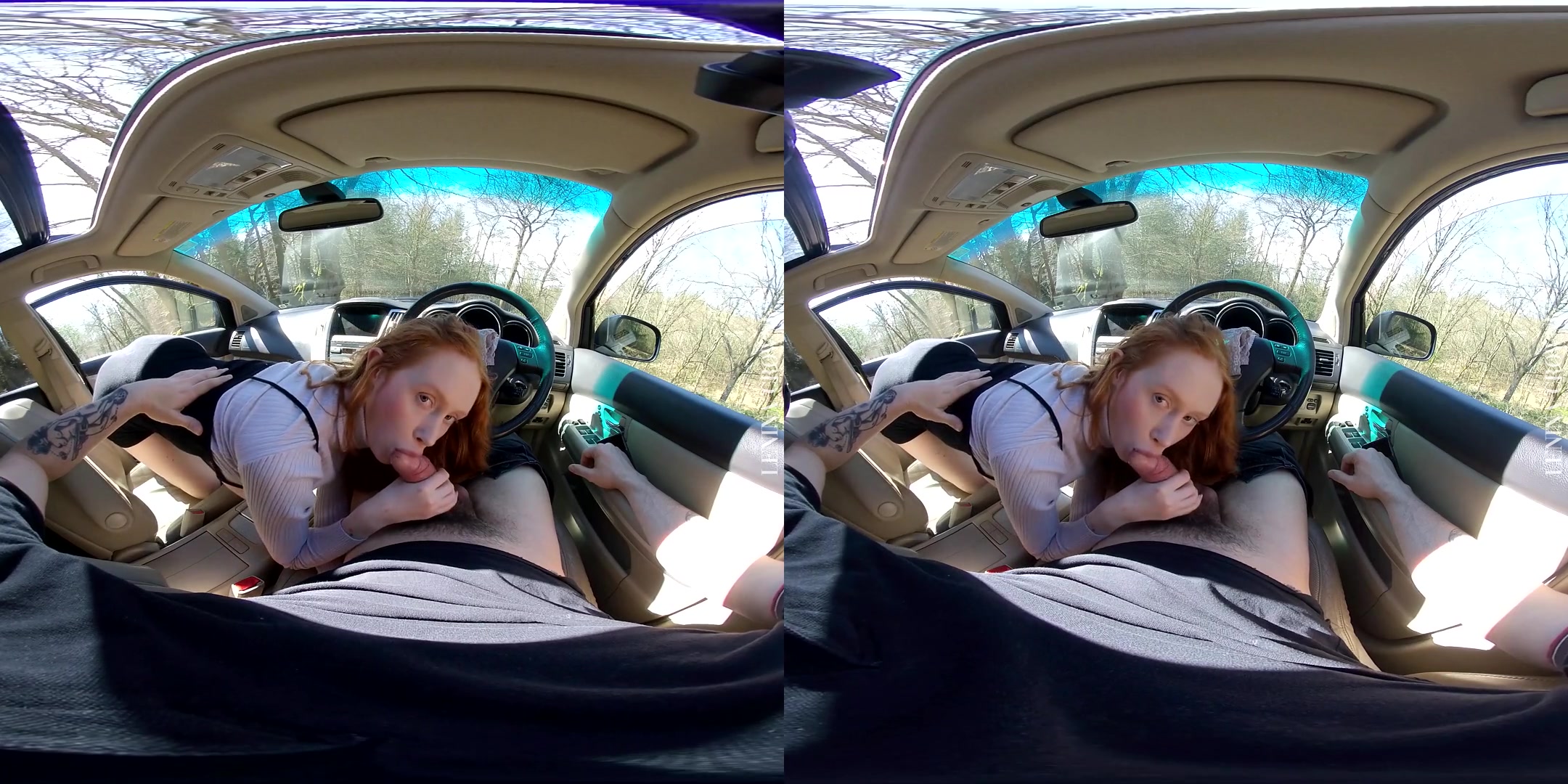 Sucking Dick on a Sunday Drive