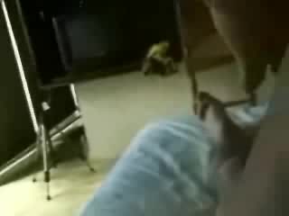 Slender hottie makes love to her chubby boyfriend