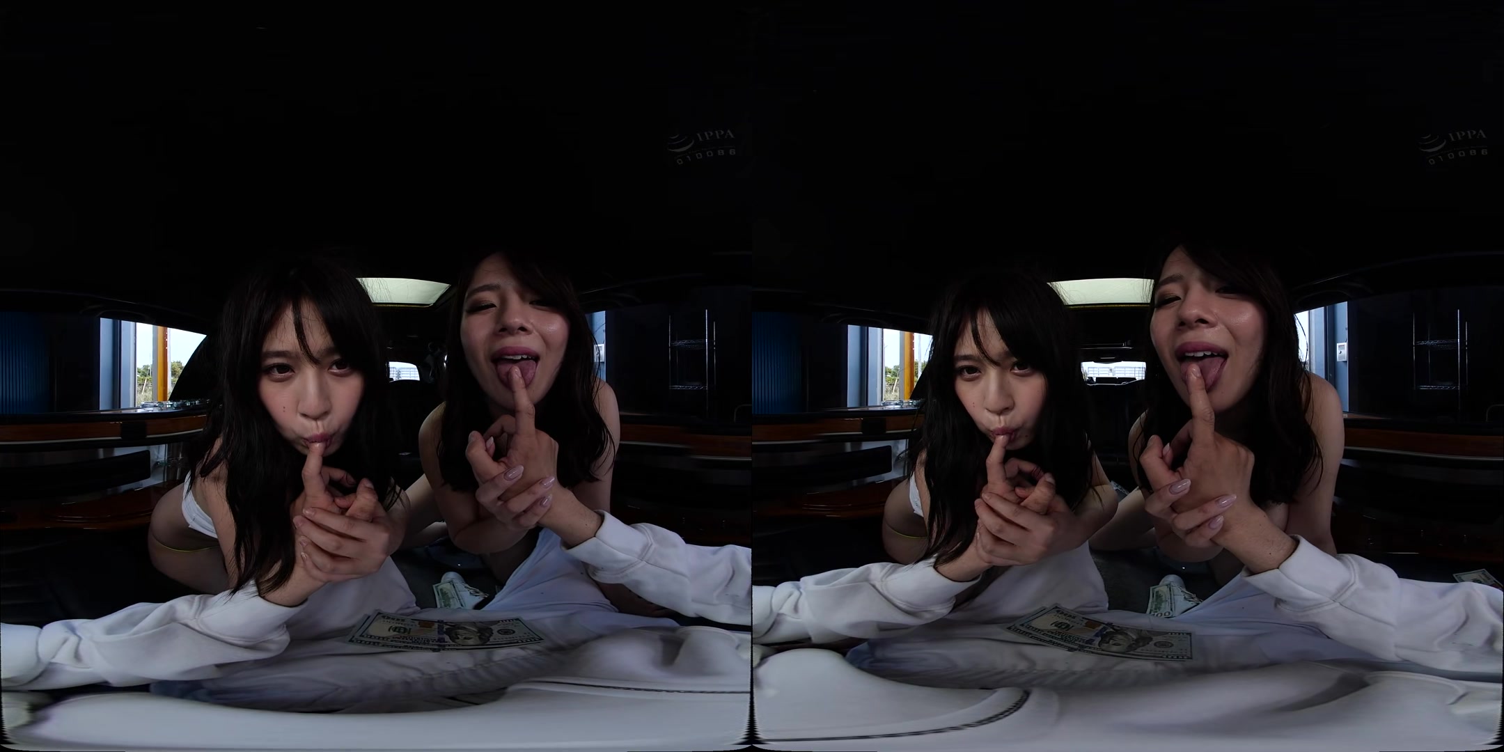 Limousine Harem: VR MFF Threesome with Two Beauties - NATURALHIGH