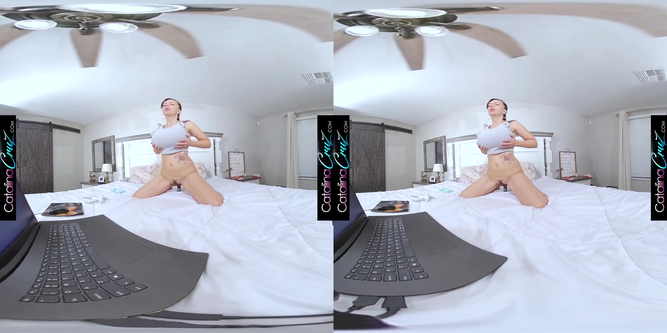 Catalina Cruz - Big Boob Distraction - Vr