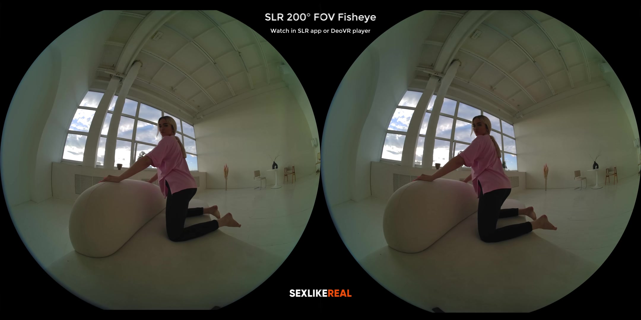 The Art of Seduction - StasyQVR