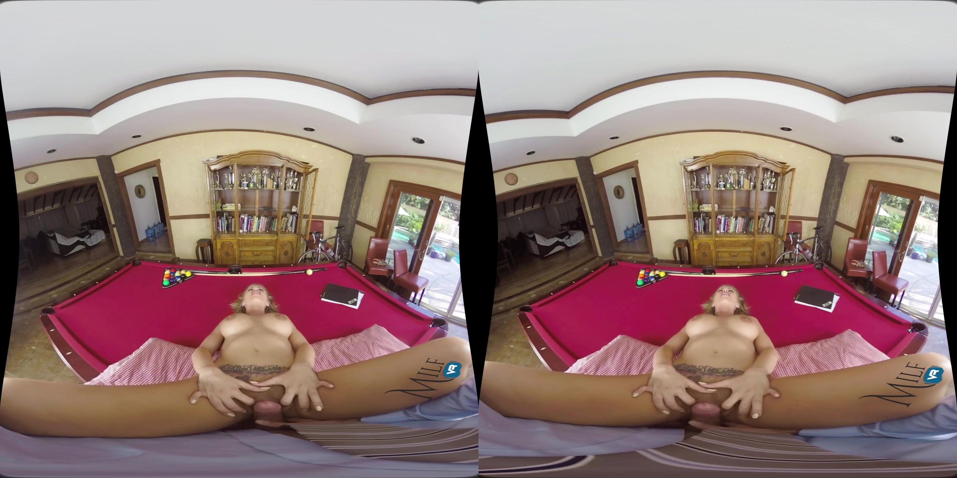 MilfVR - Client Privilege