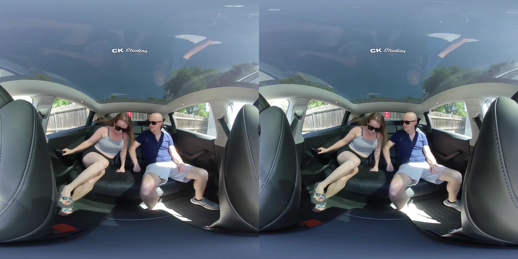 Sex in the Back Seat NO AUDIO