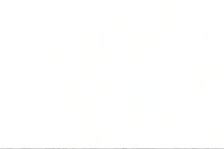 Asian Japanese Video