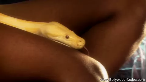 Bollywood beautiful brunette
