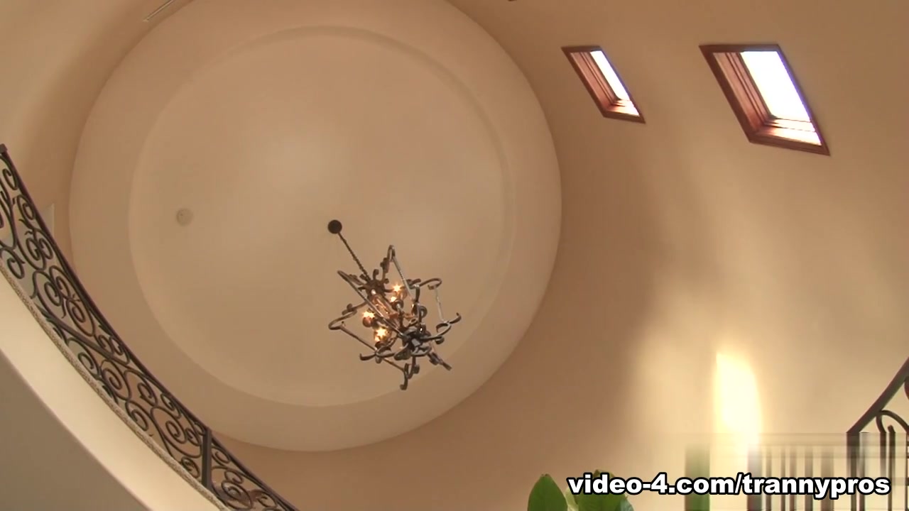 Chad Diamond, Honey Foxxx B in Transsexual Babysitters #27