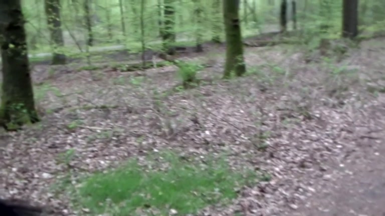 Naughty GF blows shlong outdoors untill ejaculation