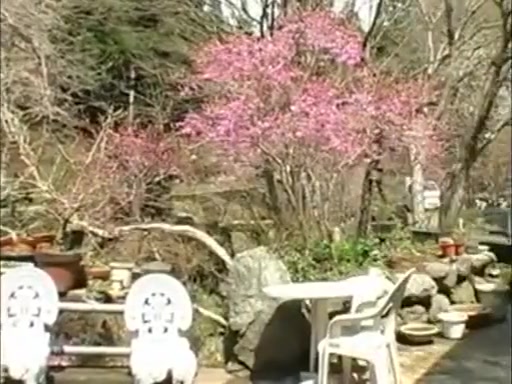 Japanese tranny fuckfest