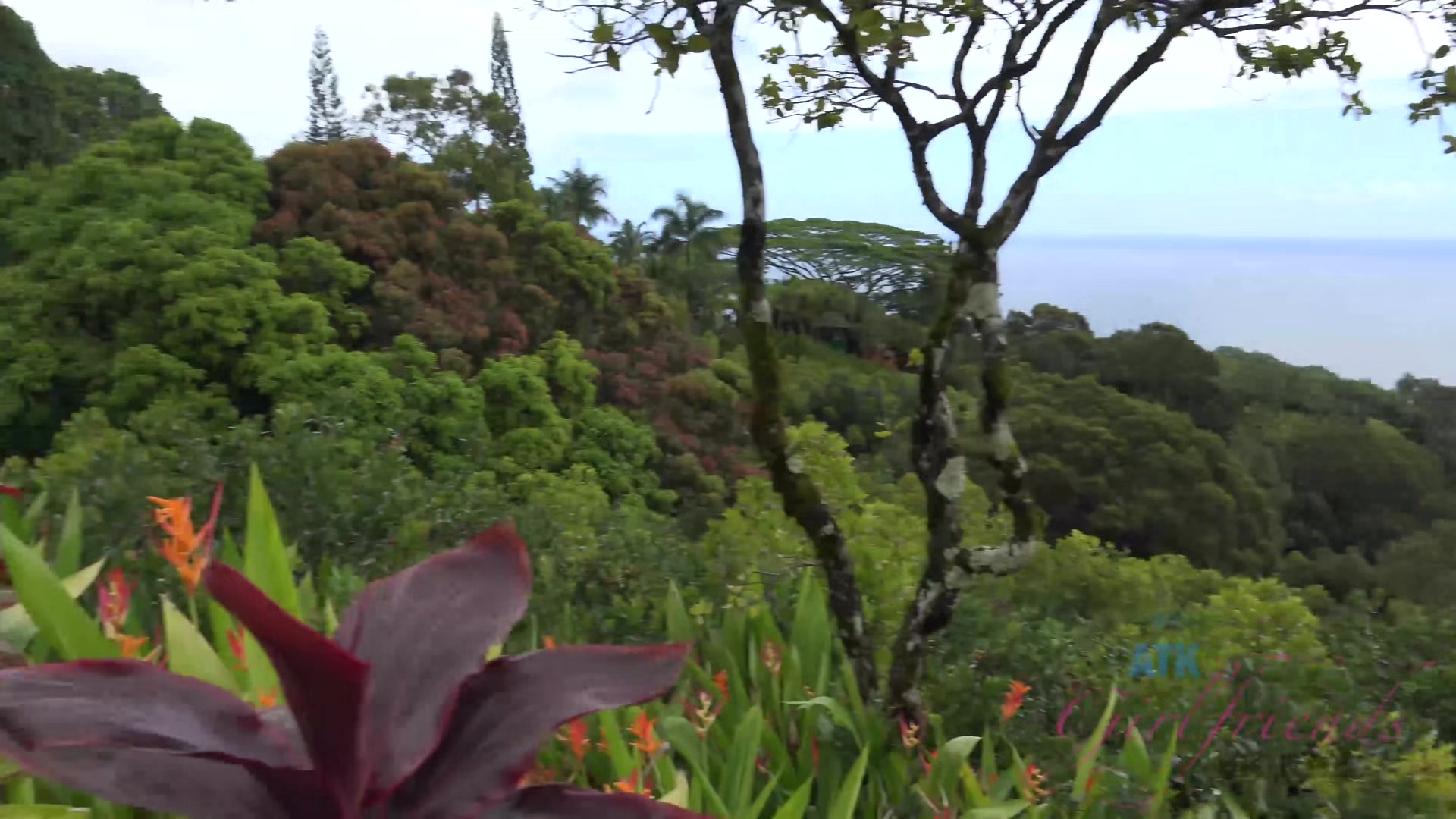Virtual Vacation Hawaii With Kate England 1/9