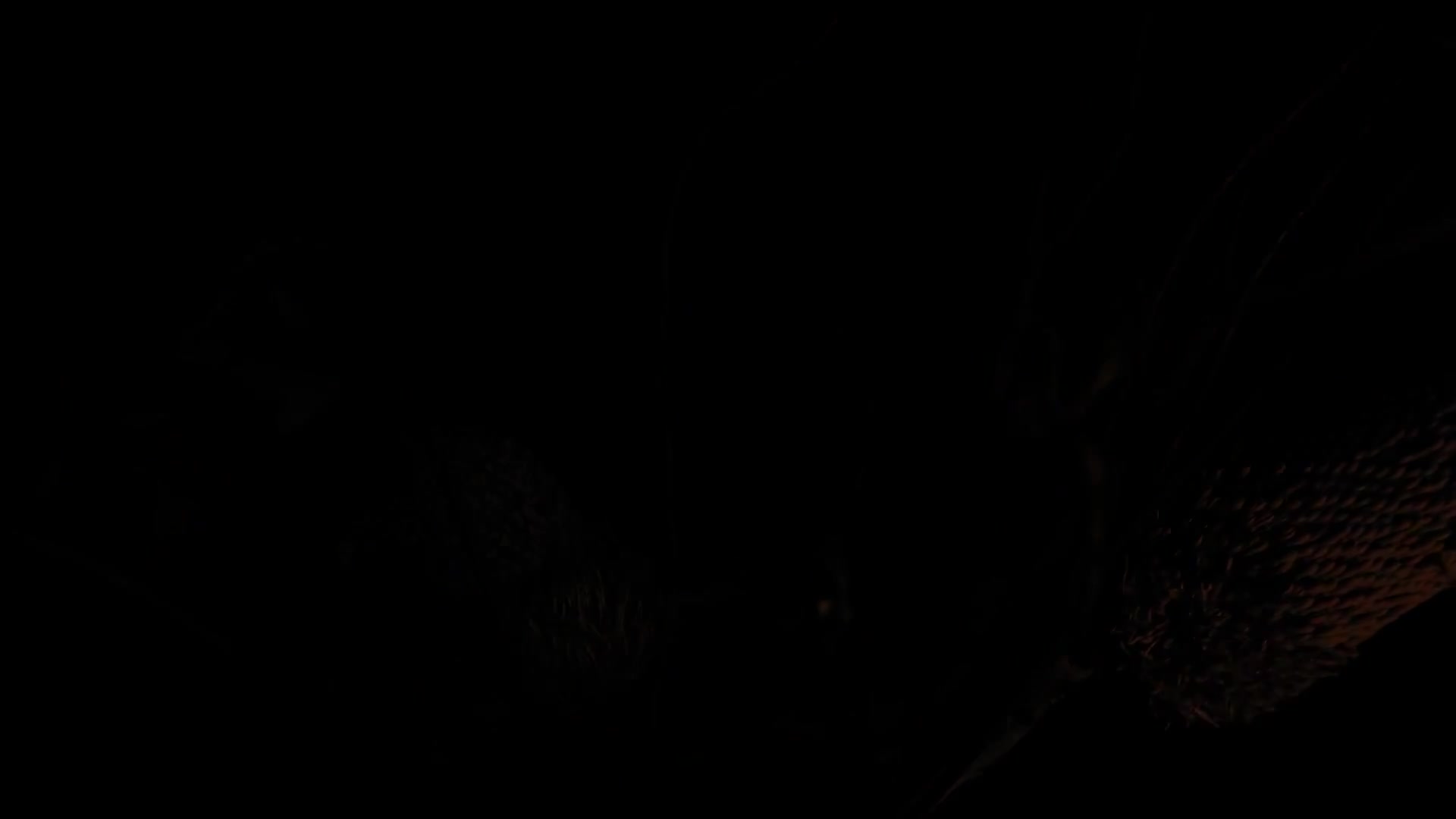Dusk - Zcluster Music Video