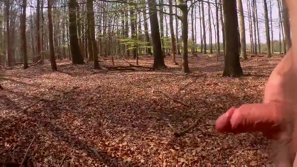 In The Wood