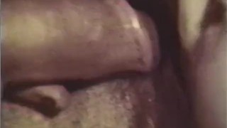 Peepshow Loops 376 1970's - Scene 2