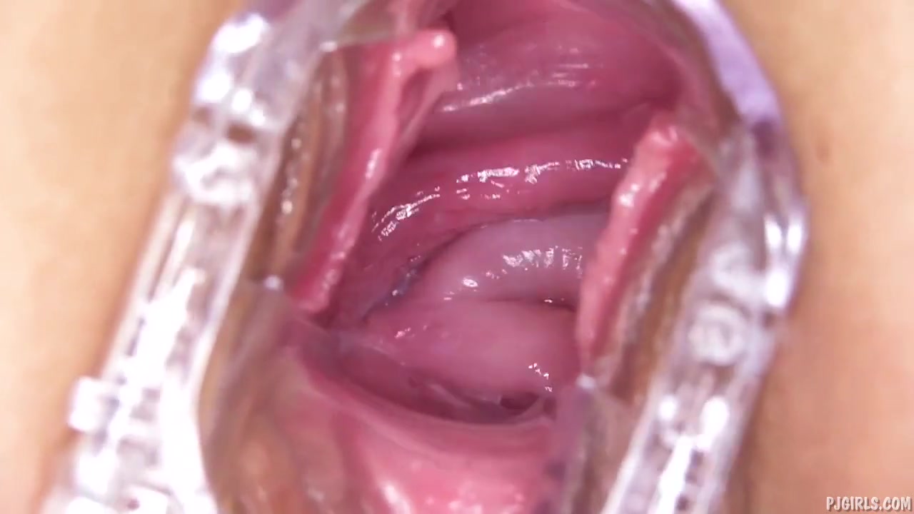 Inside Dianne Darling Ii