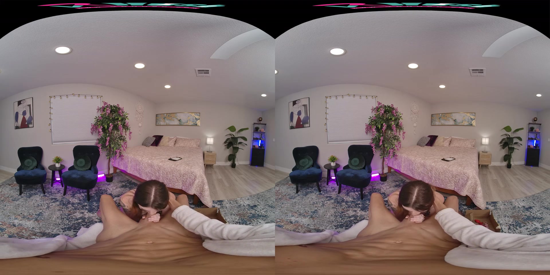 Alex Kane & David Lee - VR Porn Video
