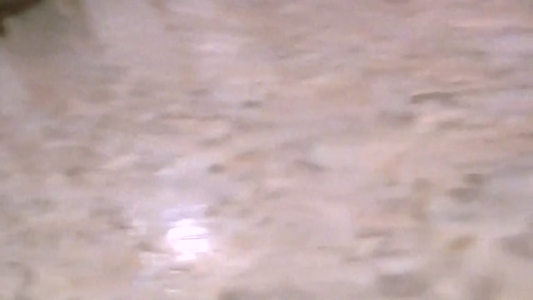Canned college whores hardly diddled on the floor