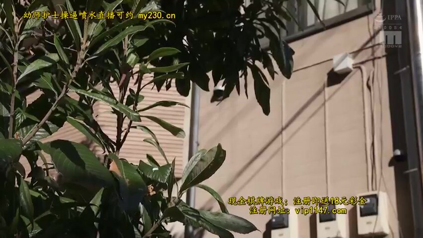 KDL335-XIMSHHHCNL404225699