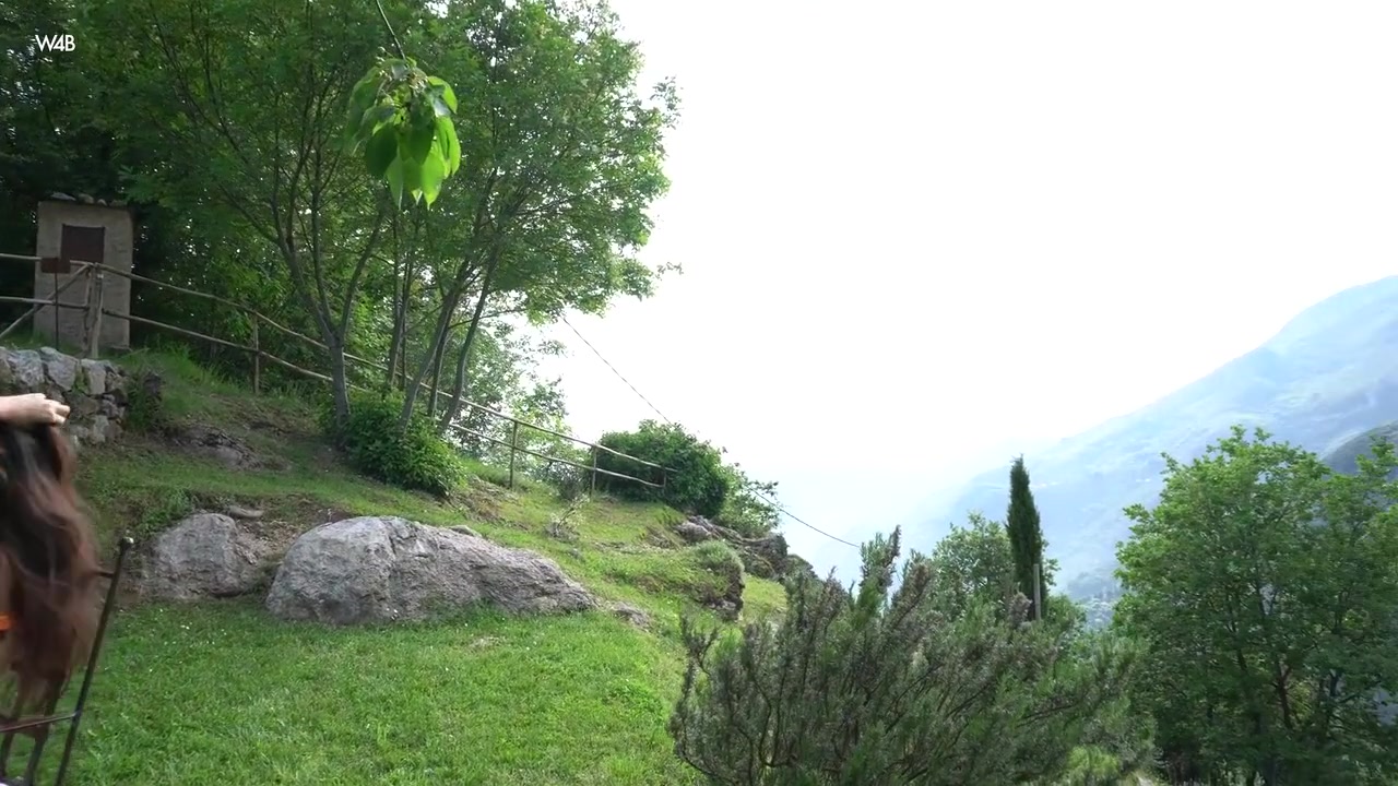 Photography In The Mountains With Alissa Foxy And A. Fox
