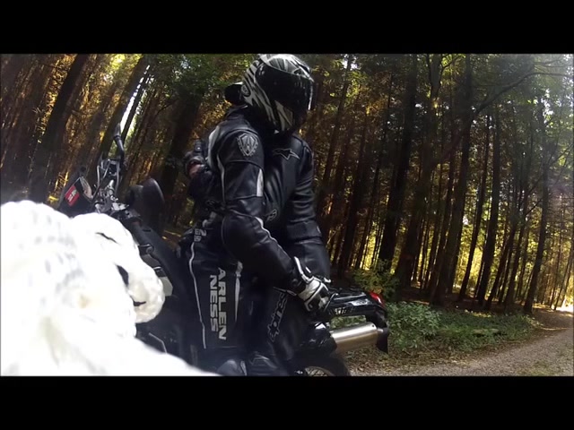 Germany biker outdoor cuming
