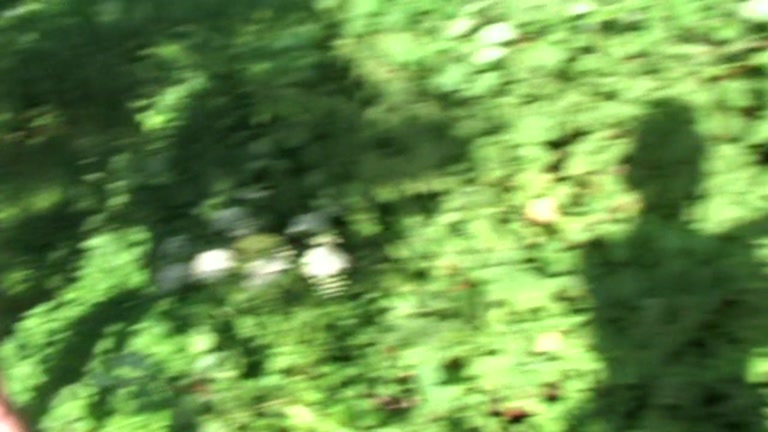 Undressed party clip with babe in outdoor oral-sex and group fuck