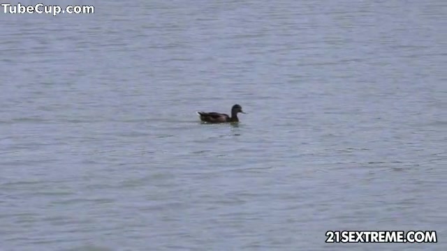 Lakeside L'amour