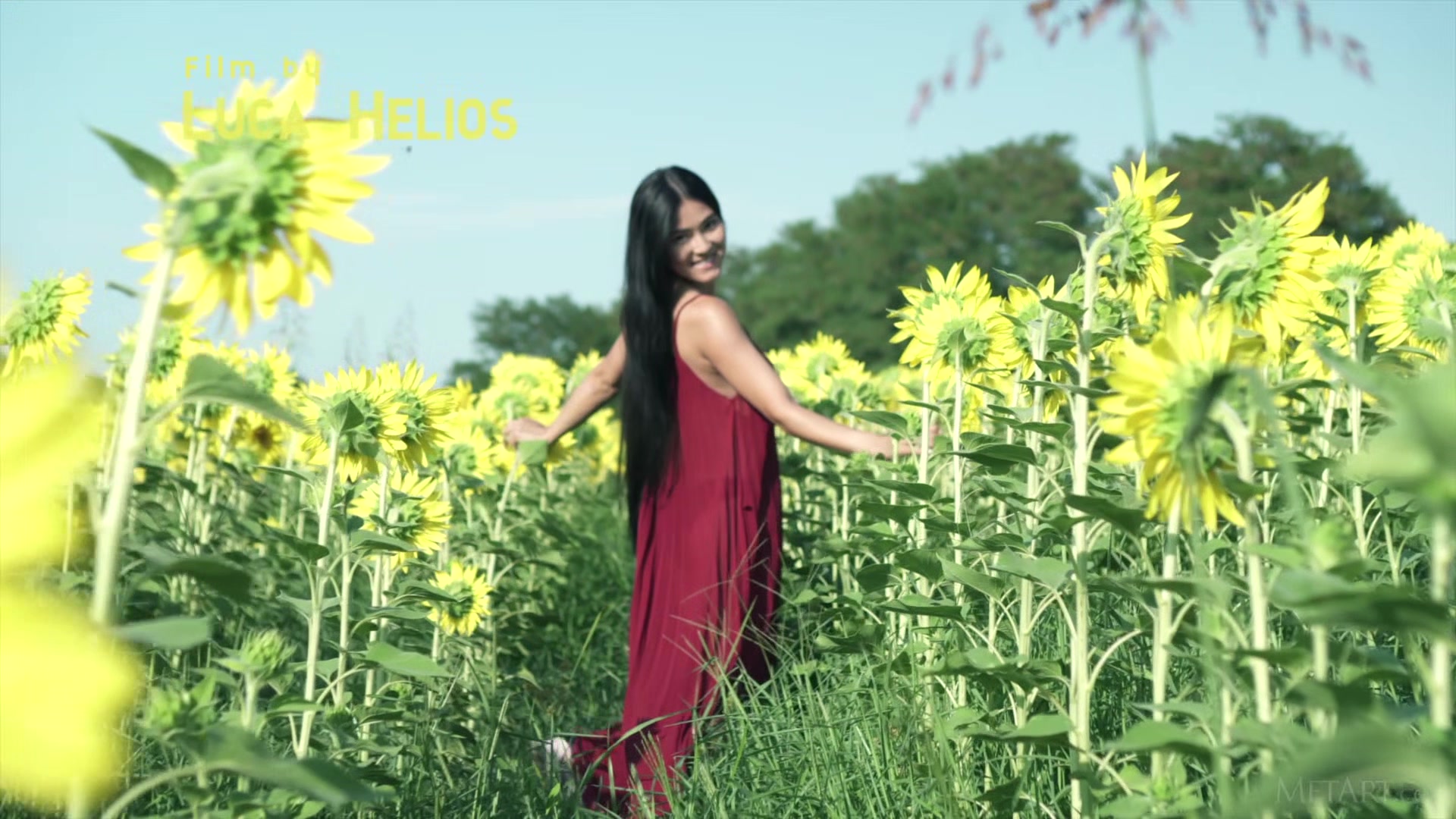 Sunflower - Kimiko - Met-Art