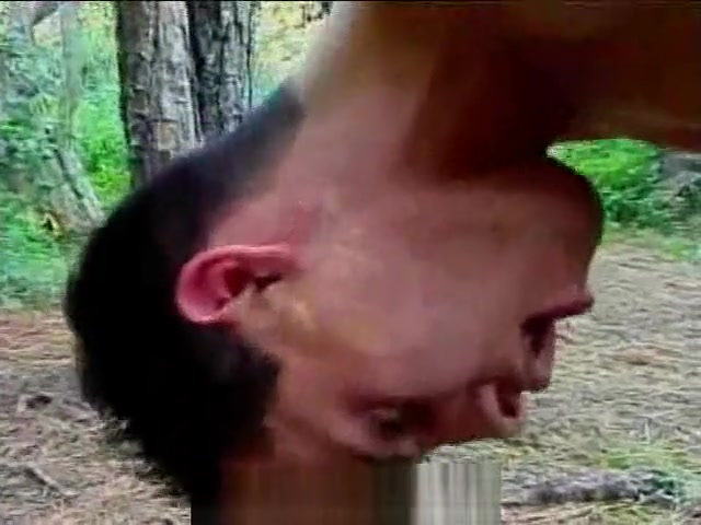 lengthy-Haired sheboy pounds man In A Wood