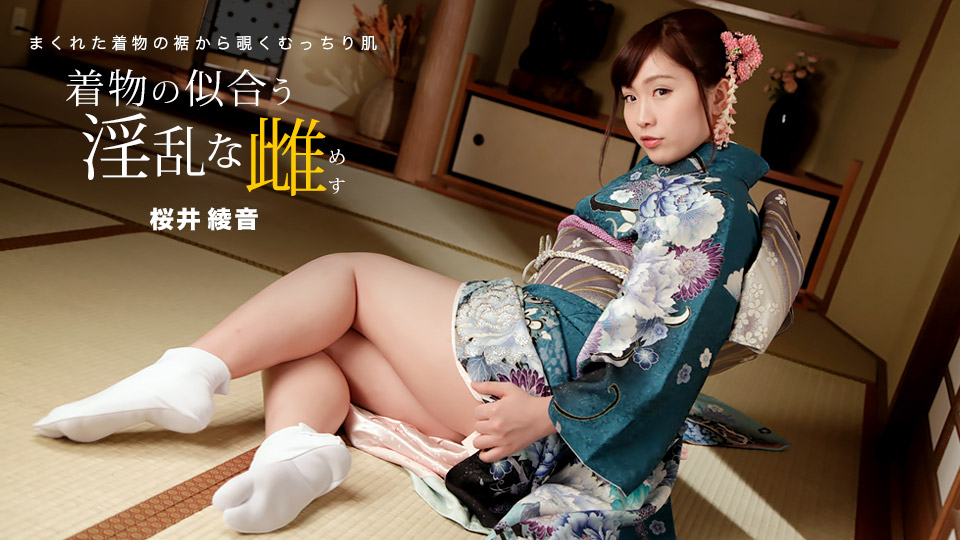 Ayane Sakurai Japanese Video