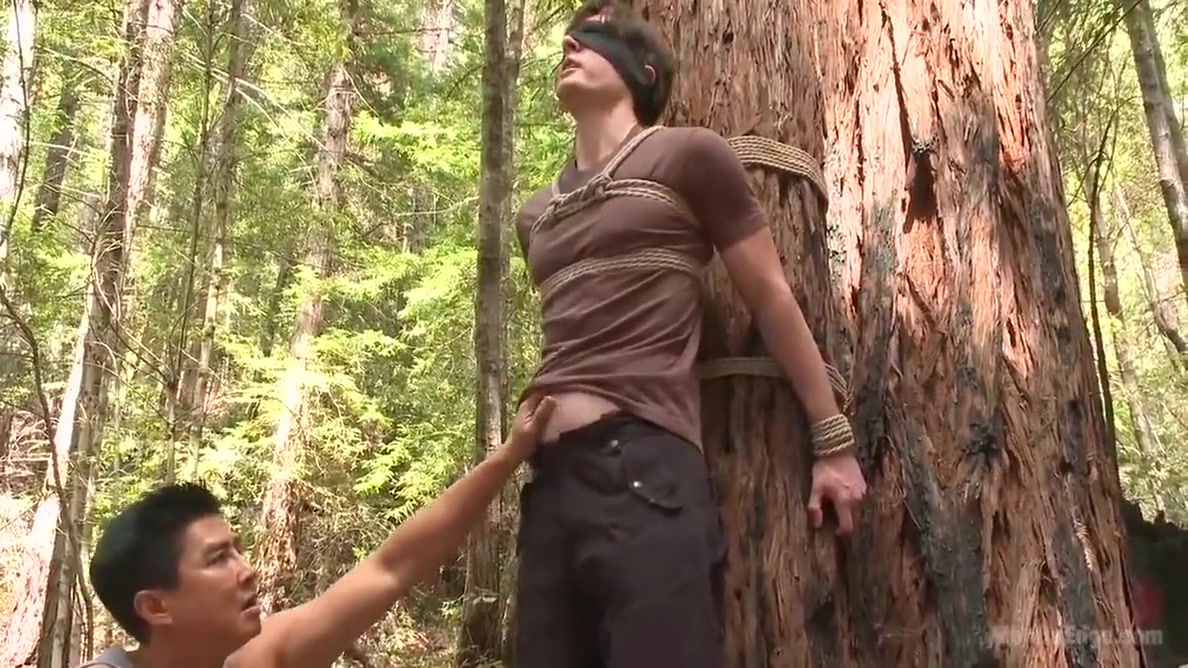 Bi Stud Bound And Edged In The Forrest - Van Darkholme And Dirk Wakefield