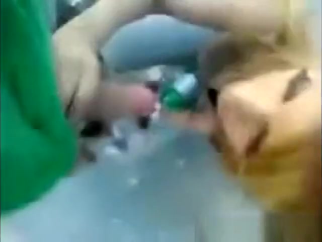 Shemale Sucking Cocks On The Street To Make A Living