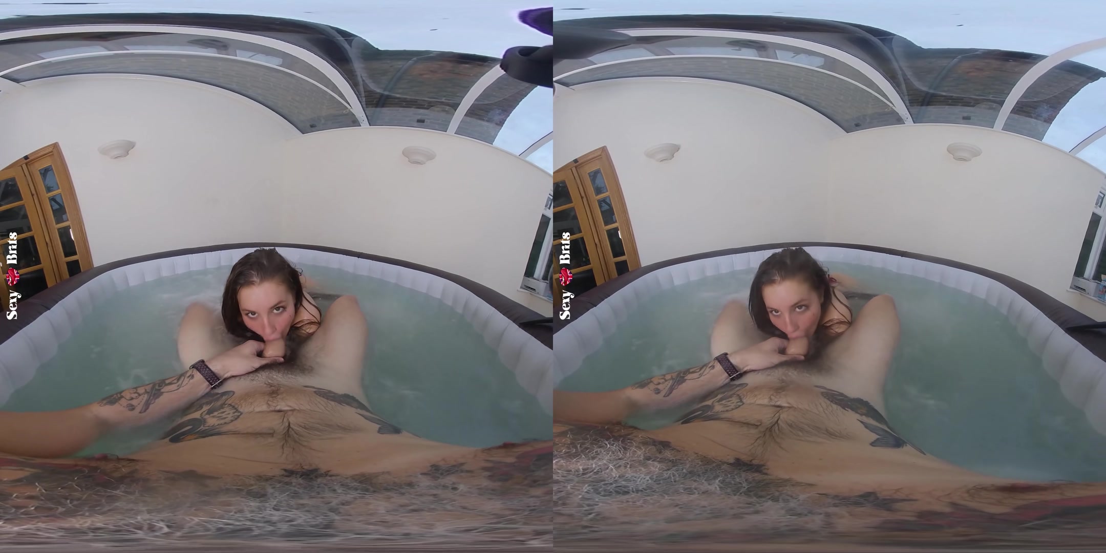 How To Bathe Your Aussie III - perVRt
