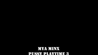 PUSSY PLAYTIME 3