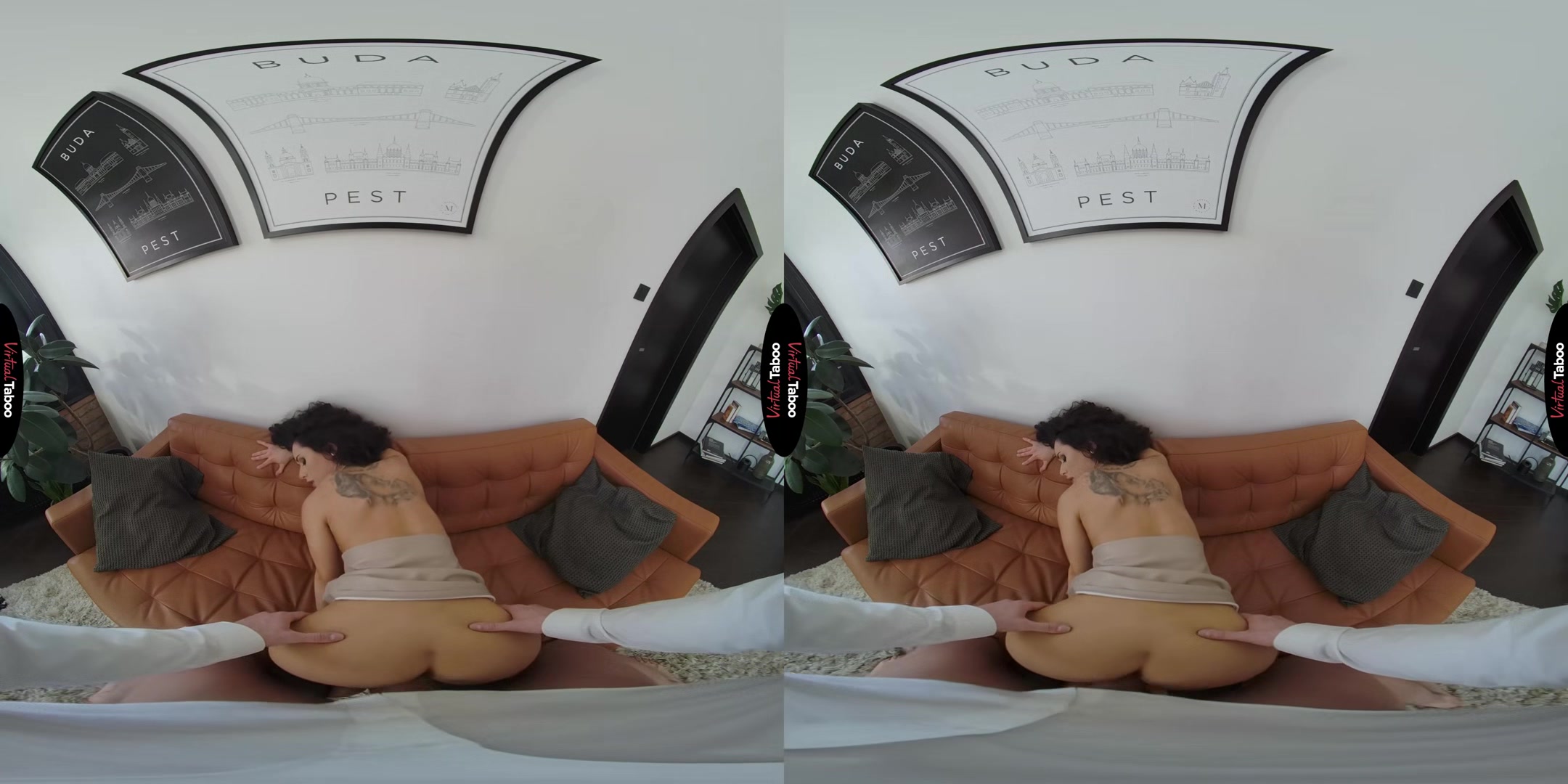 Today We Learn Anal