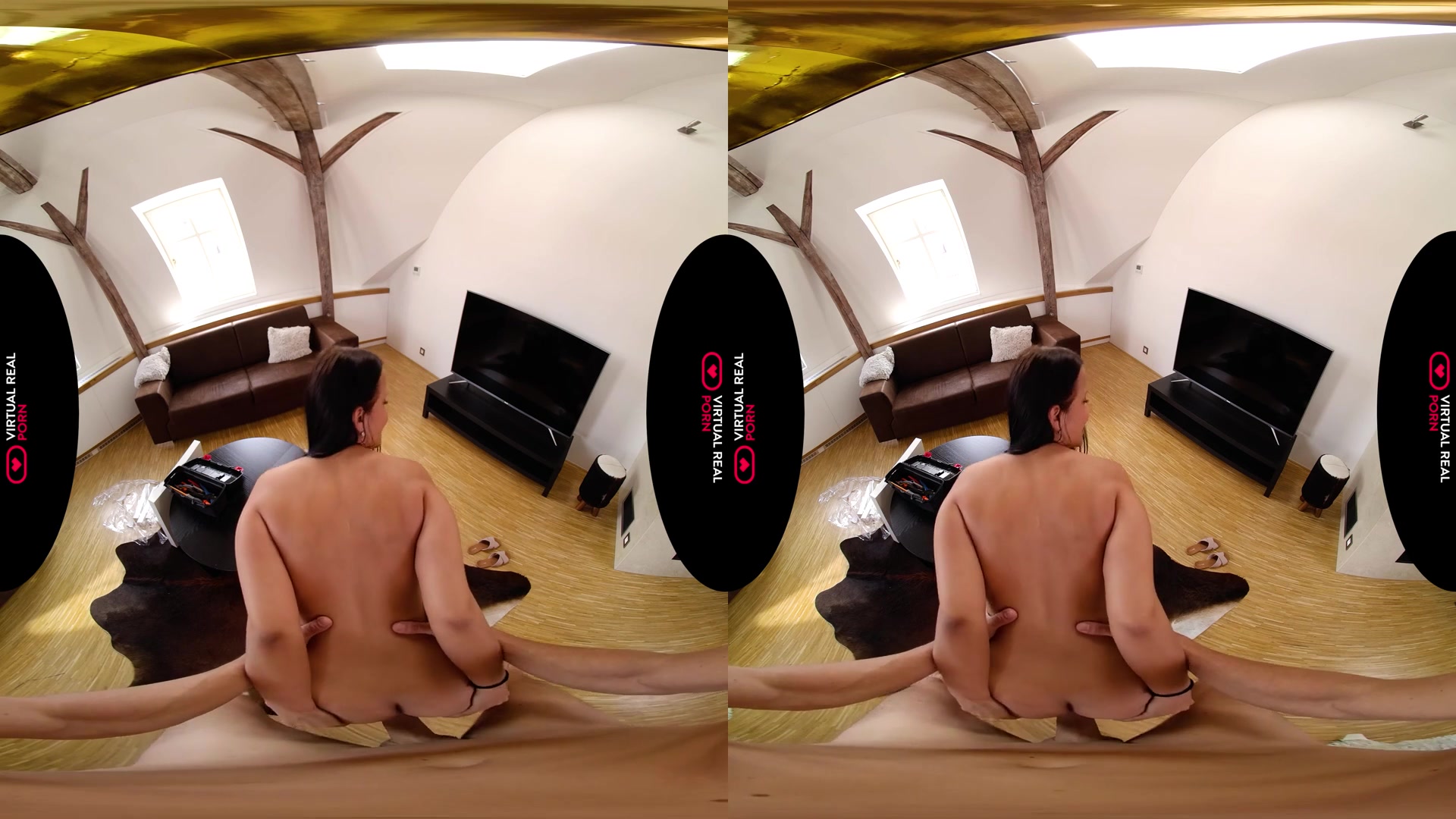 The Art of Seduction - VirtualRealPorn